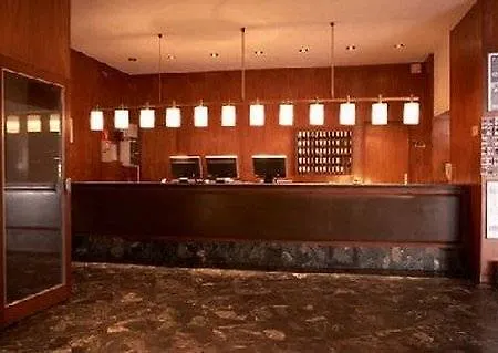 酒店 中央豪华酒店